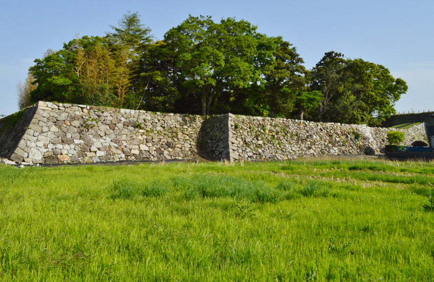 Obama Castle, Japan